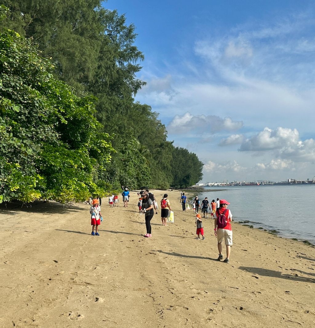 Beach Clean Up at Coney Island — photo 5