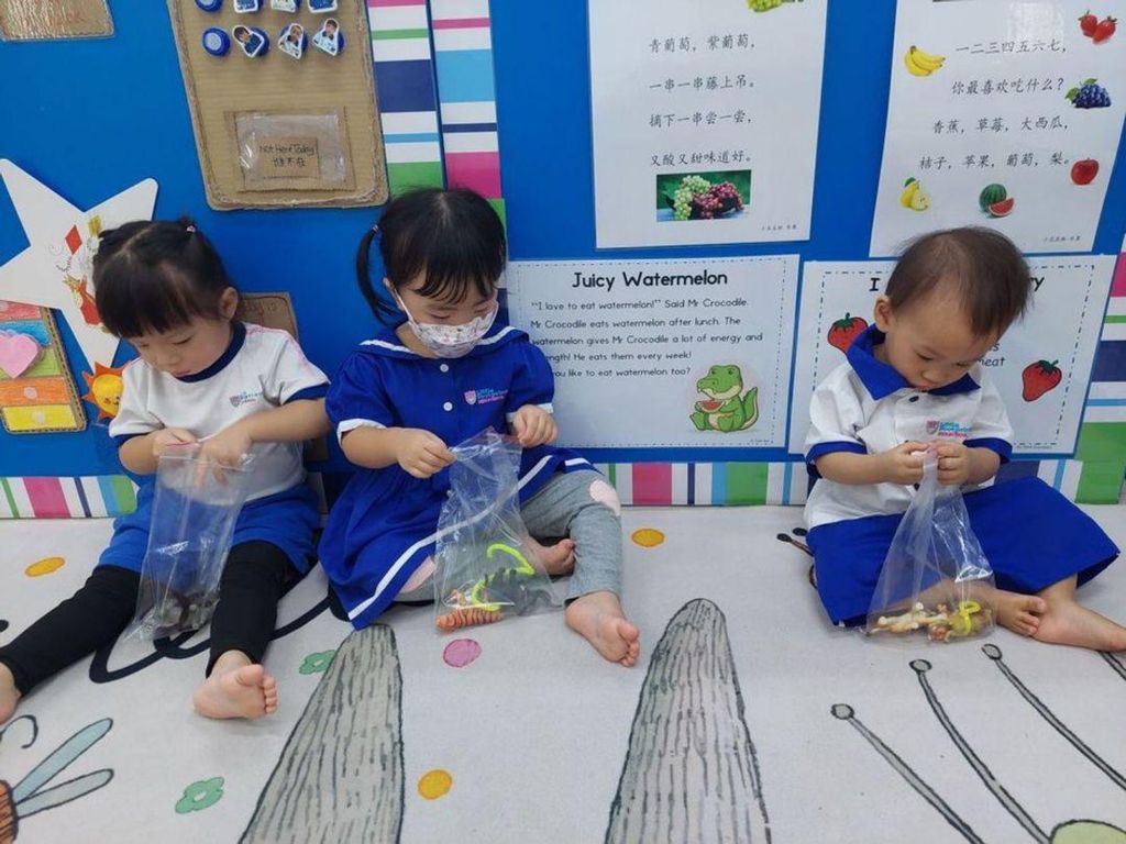 Little Footprints @ Jurong East 248 SSDB Learning Journey — photo 3