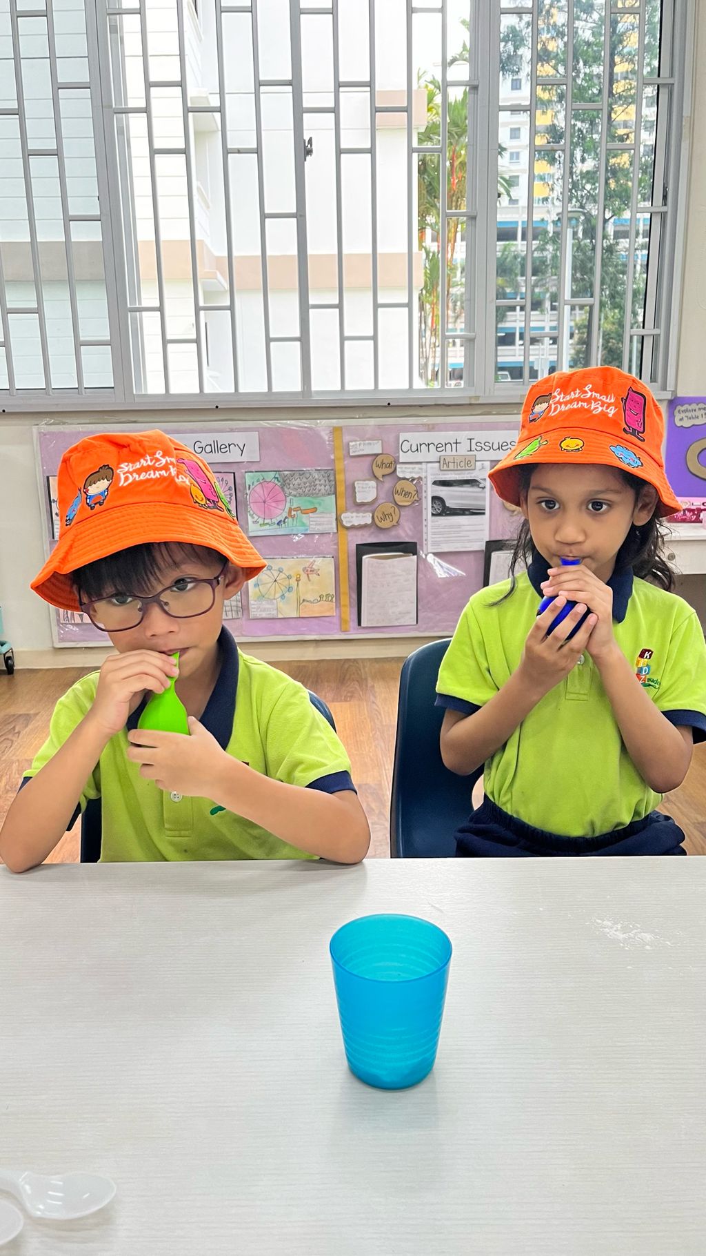 SSDB - Stress Balls