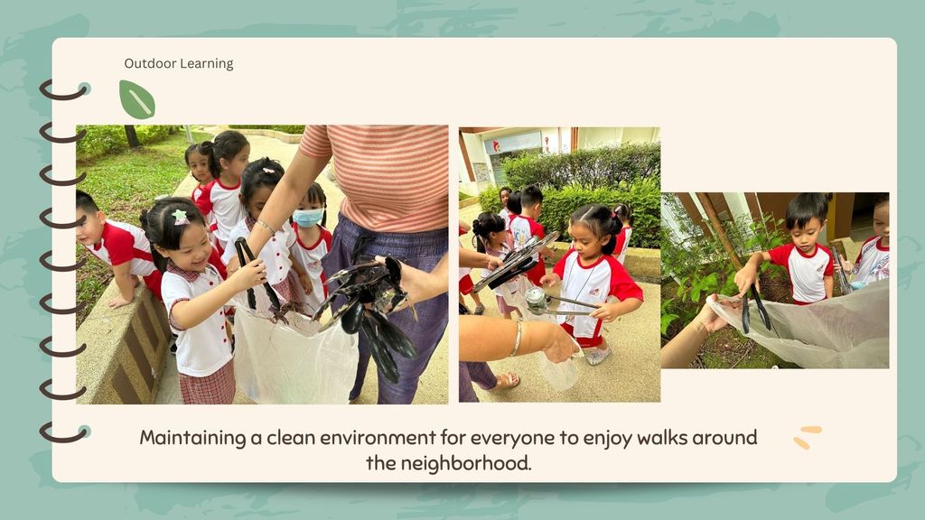 Little Green Steps to Eco Best — photo 16
