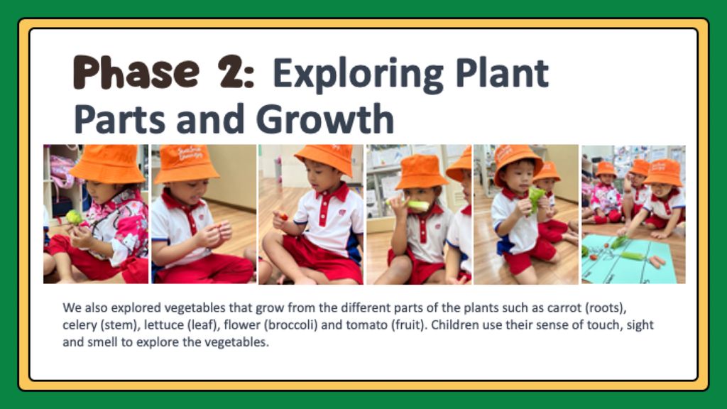Our Edible Garden (Phase 1-3) — photo 7