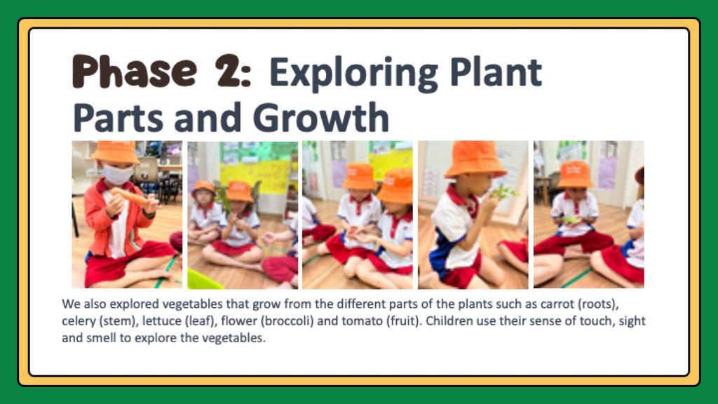 Our Edible Garden (Phase 1-3) — photo 8