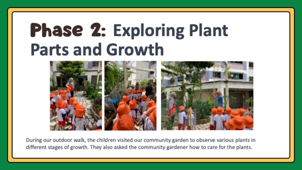 Our Edible Garden (Phase 1-3) — photo 9