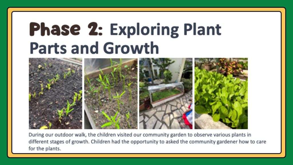 Our Edible Garden (Phase 1-3) — photo 10
