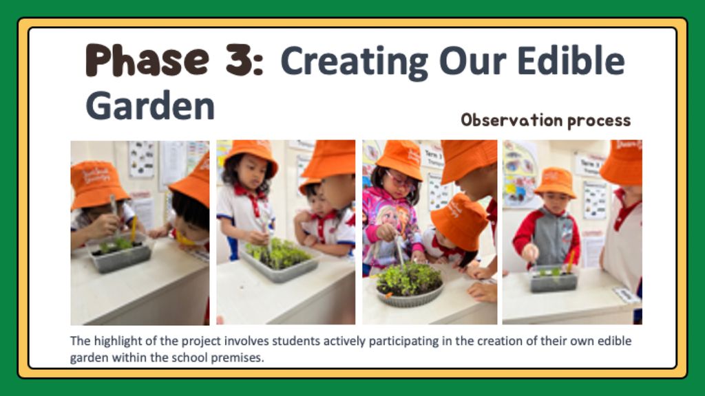 Our Edible Garden (Phase 1-3) — photo 15