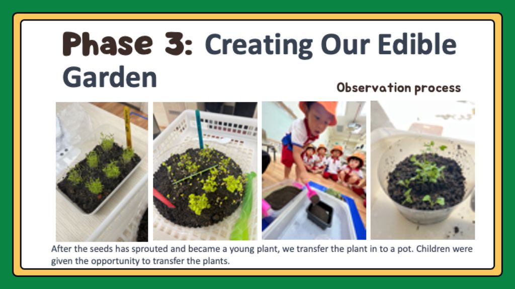 Our Edible Garden (Phase 1-3) — photo 16