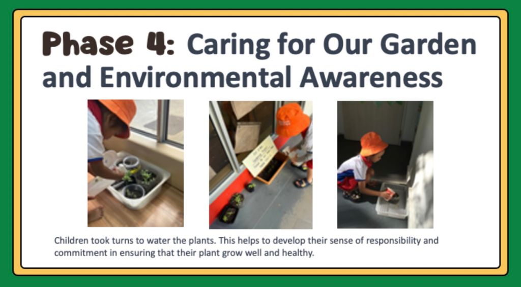 Our Edible Garden (Phase 4 & 5)