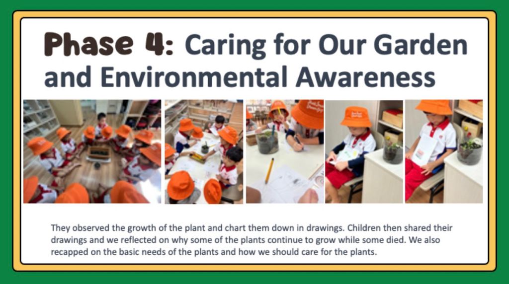 Our Edible Garden (Phase 4 & 5) — photo 2