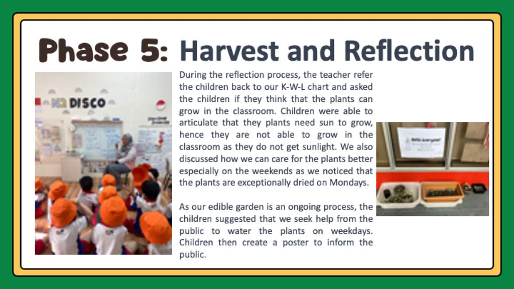 Our Edible Garden (Phase 4 & 5) — photo 3