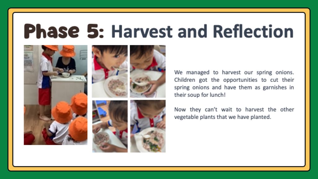 Our Edible Garden (Phase 4 & 5) — photo 4