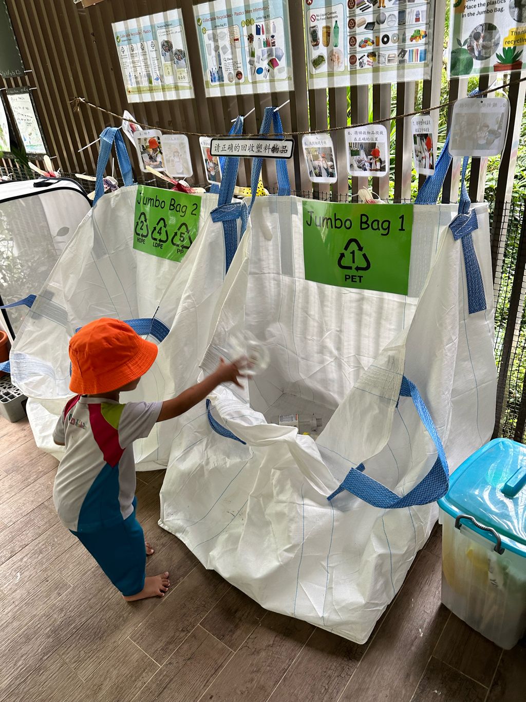 Recycling — photo 1