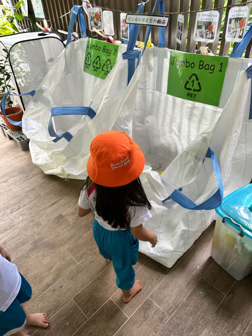 Recycling — photo 4