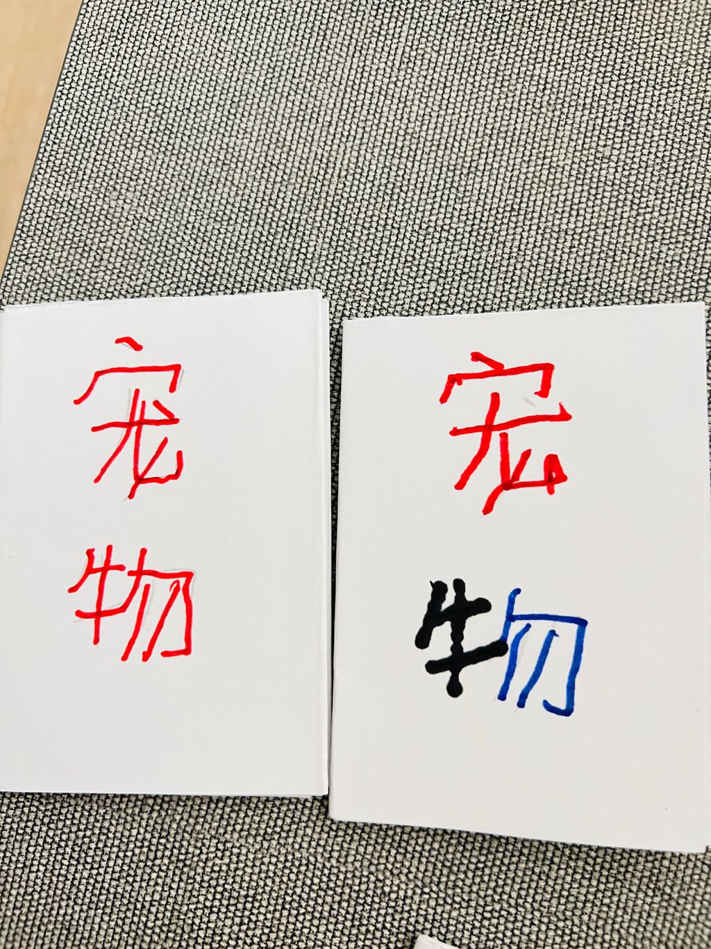亲爱的宠物 — photo 4