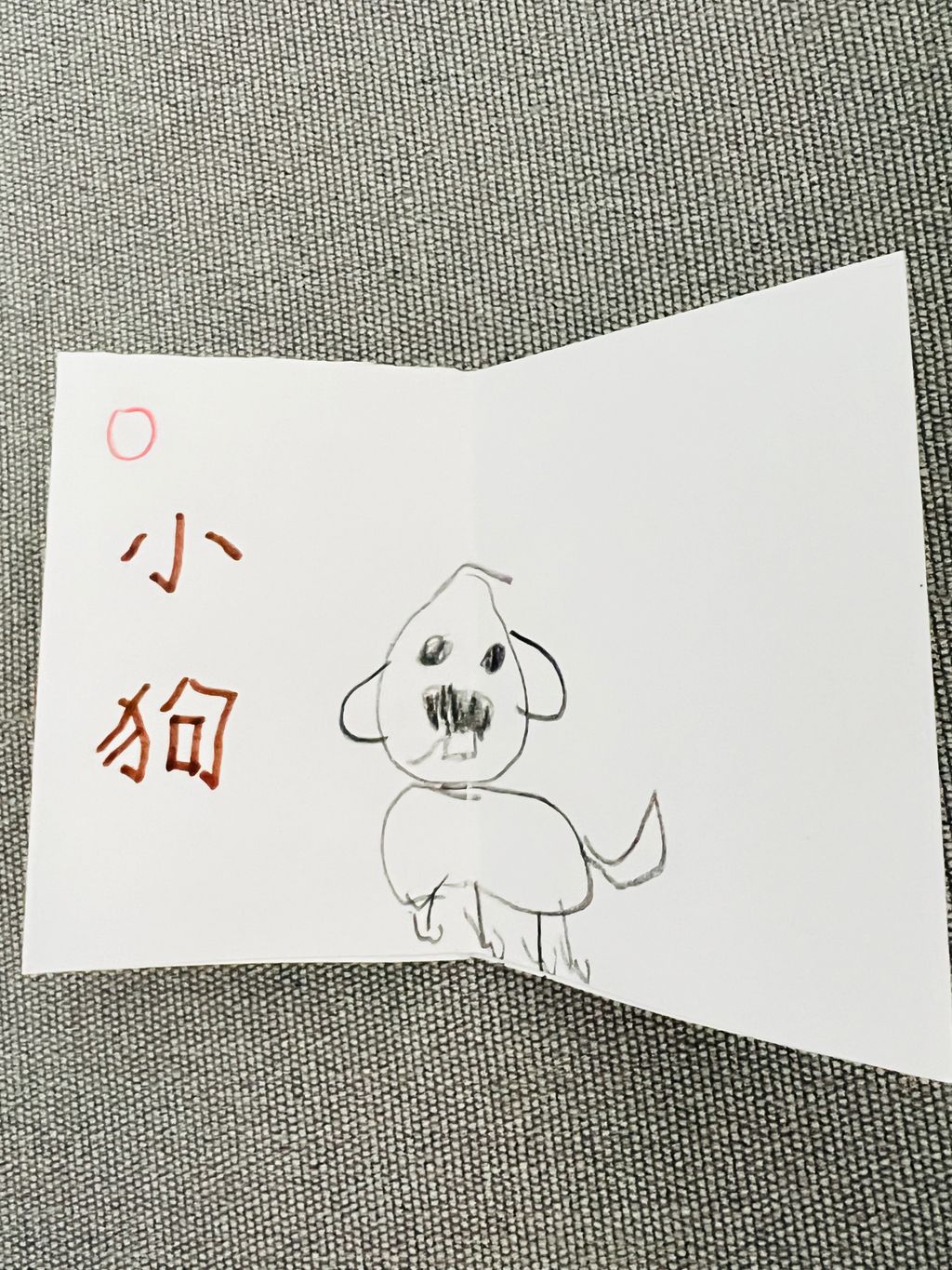 亲爱的宠物 — photo 7