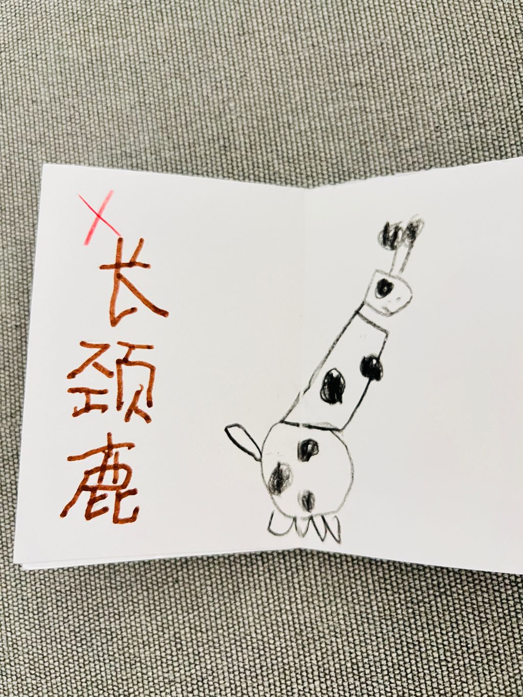 亲爱的宠物 — photo 9