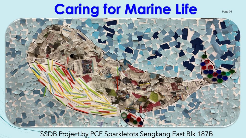 Caring for Marine Life