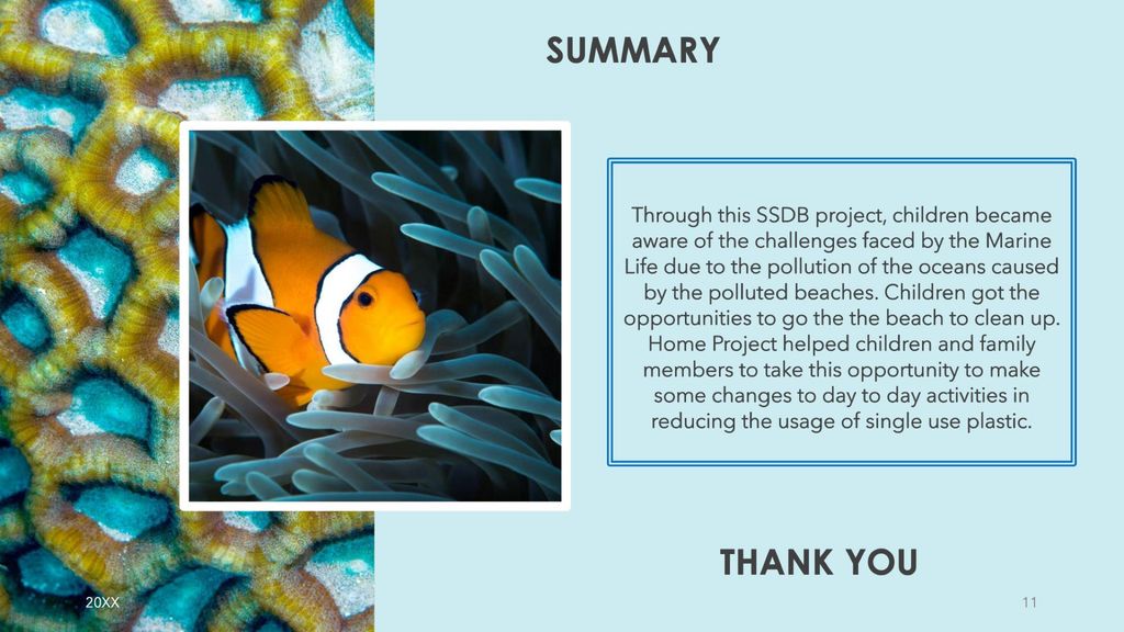 Caring for Marine Life — photo 11