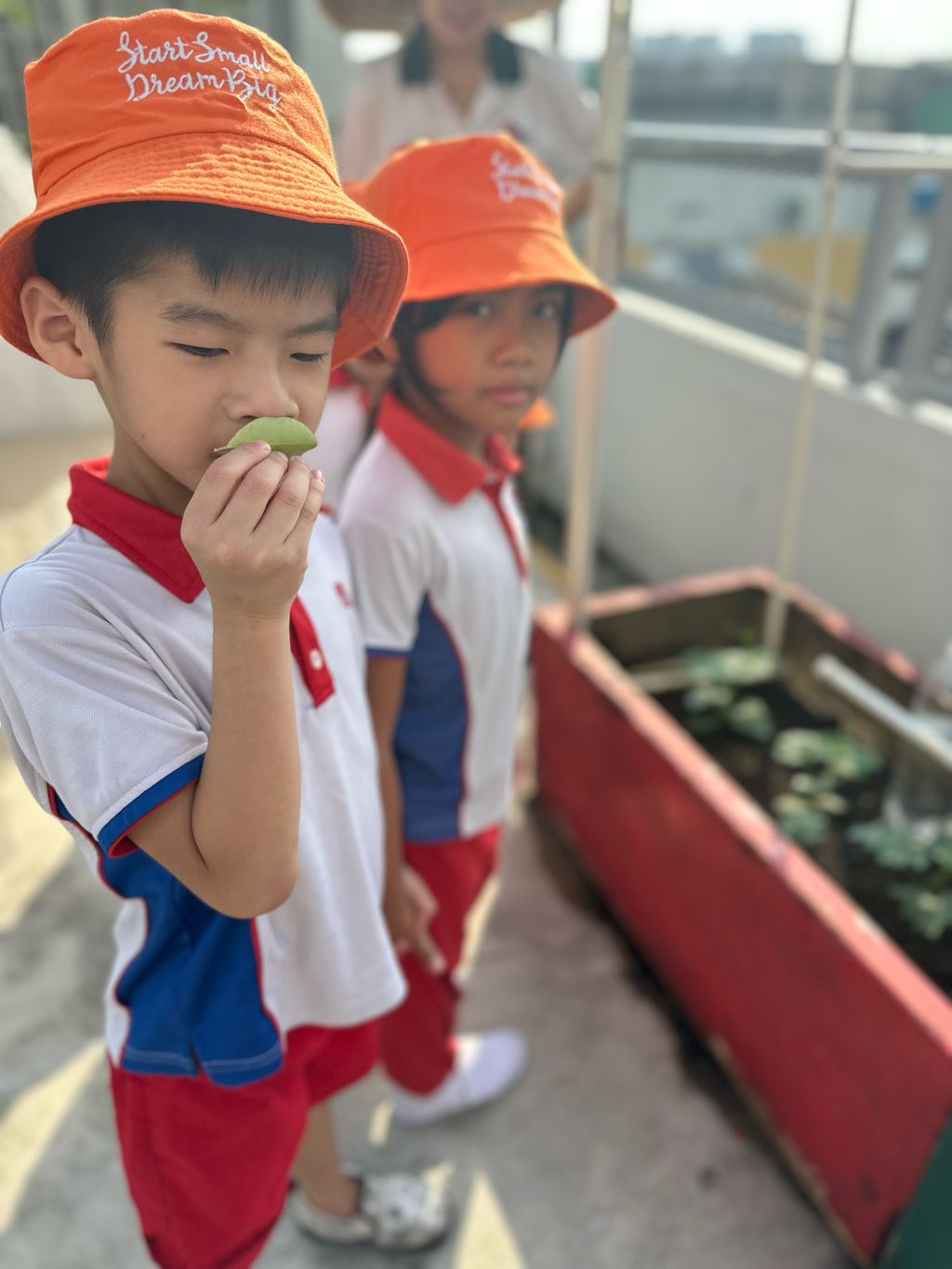 SSDB 2023: Trip to the Sky Garden