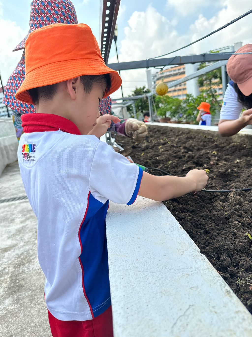 SSDB 2023: Trip to the Sky Garden — photo 3