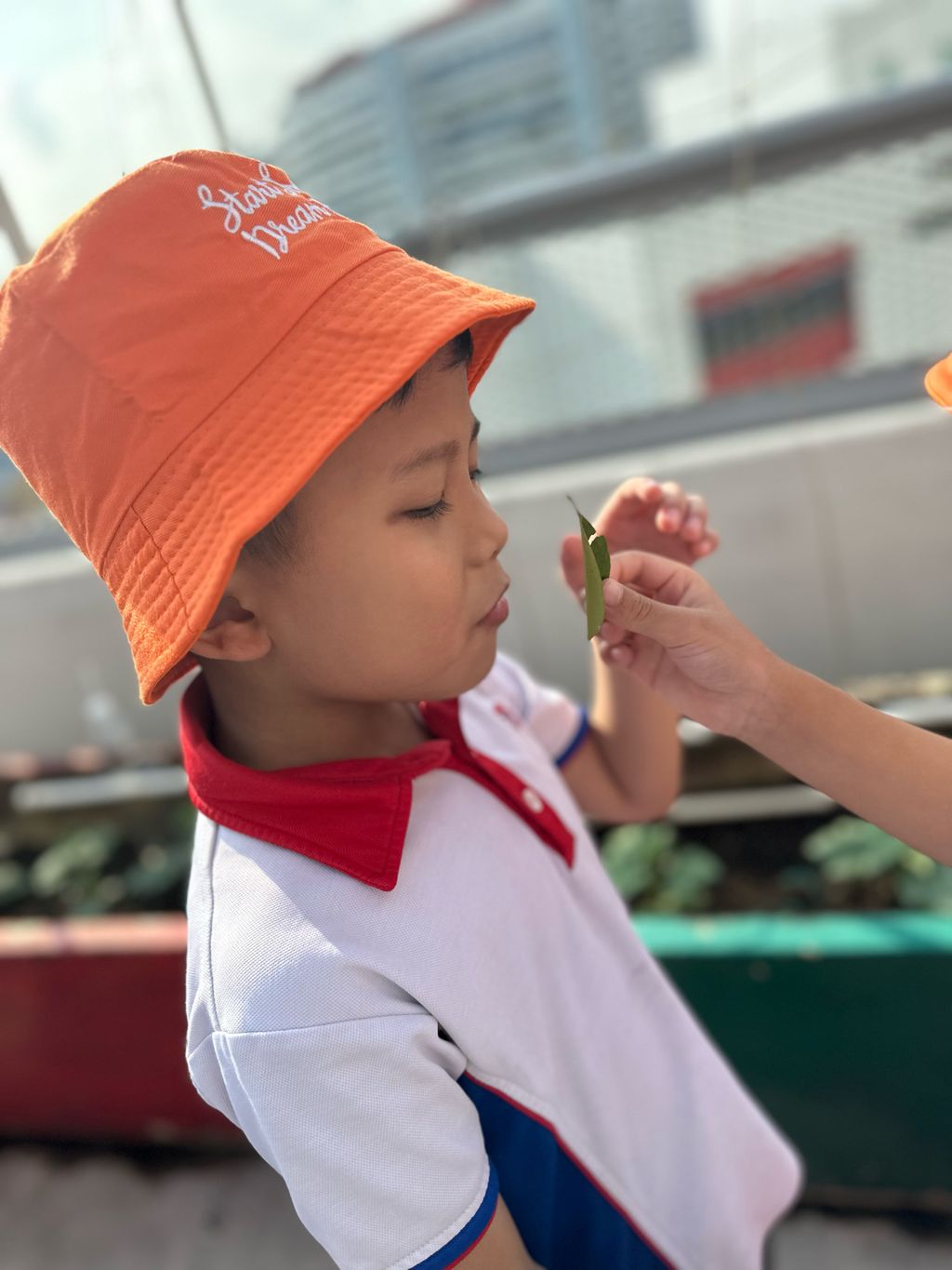 SSDB 2023: Trip to the Sky Garden — photo 4