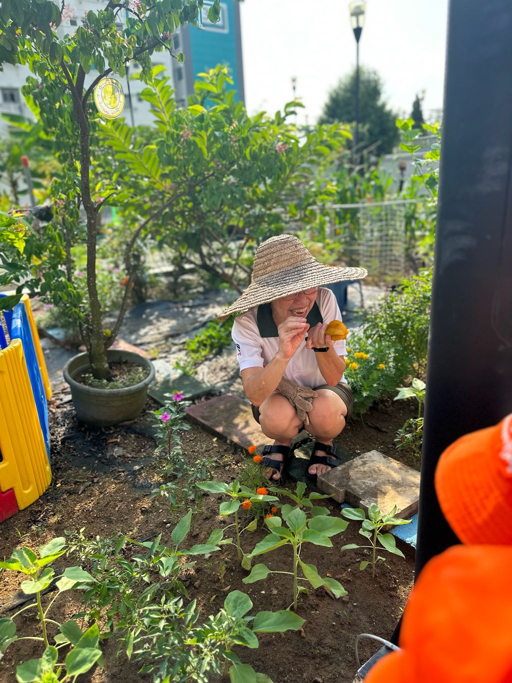 SSDB 2023: Trip to the Sky Garden — photo 5