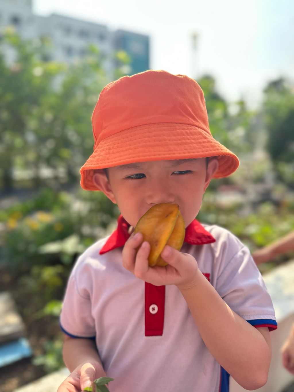 SSDB 2023: Trip to the Sky Garden — photo 6