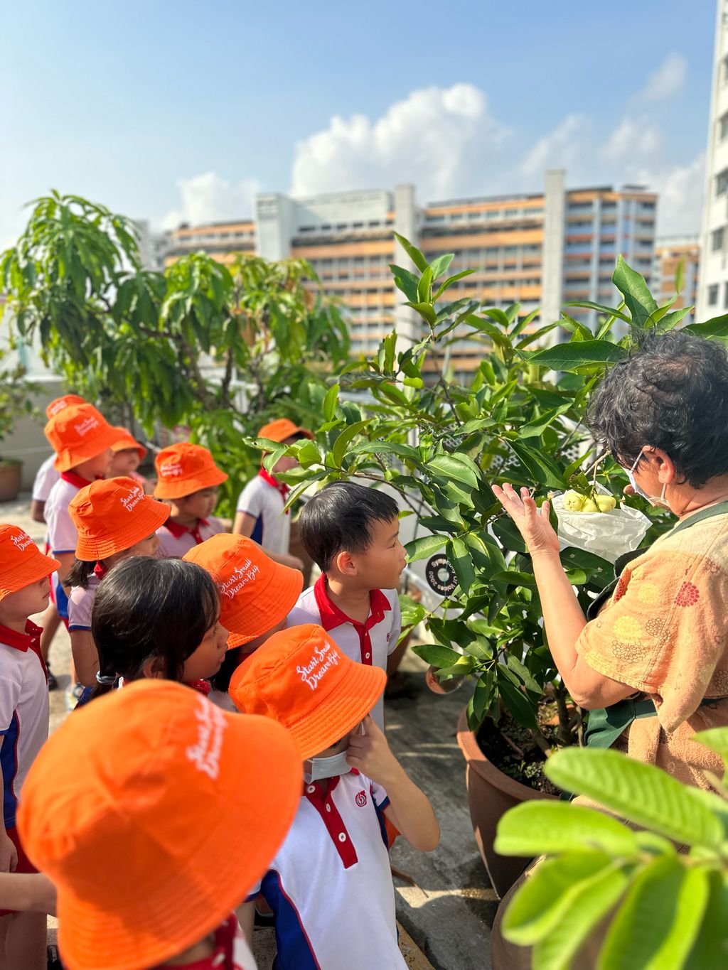 SSDB 2023: Trip to the Sky Garden — photo 11