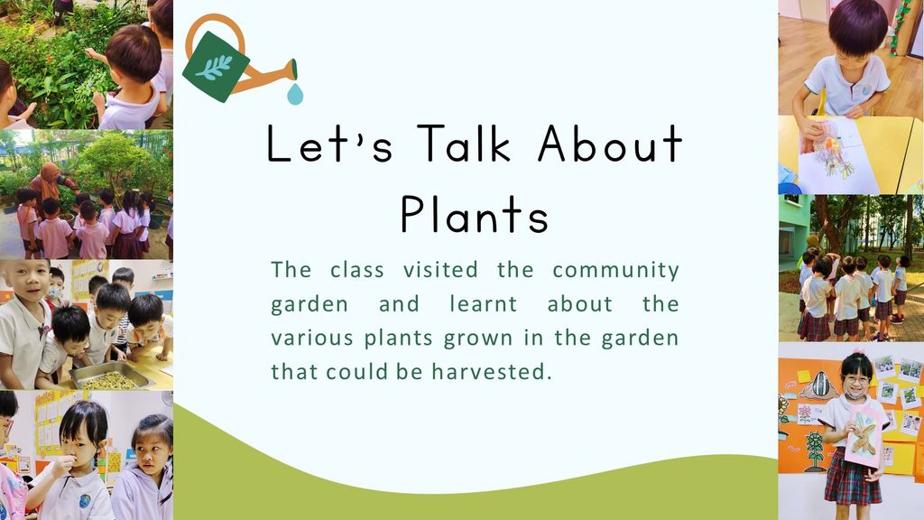 Sustainability through Gardening — photo 2