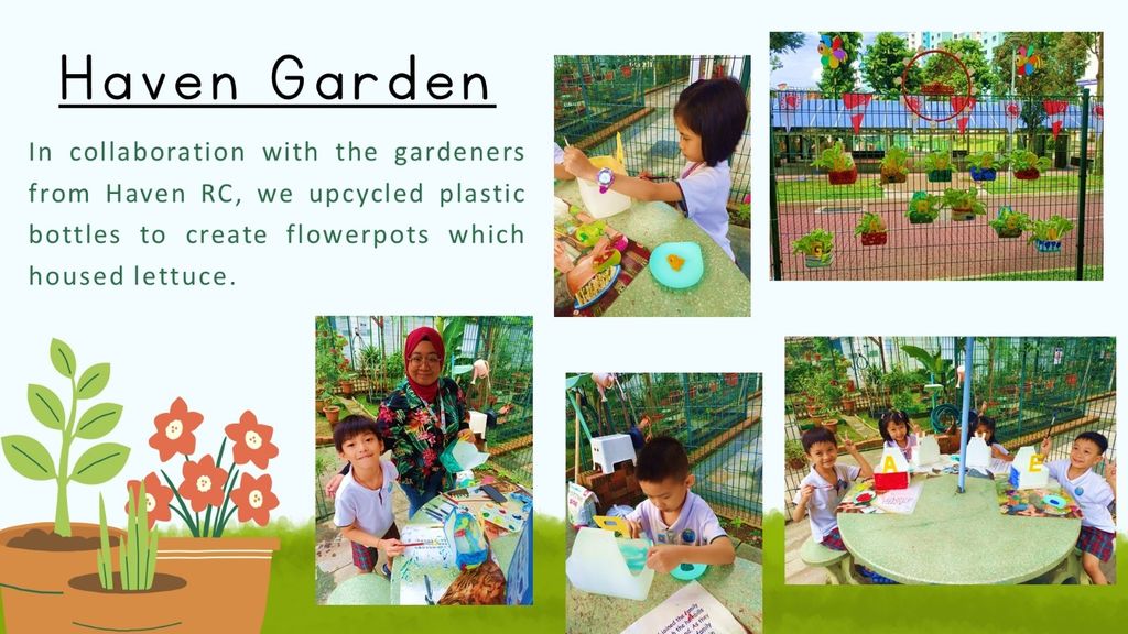 Sustainability through Gardening — photo 3
