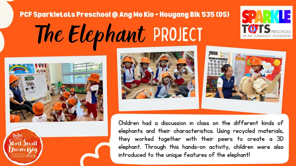 Caring for Animals: The Endangered Elephants — photo 3