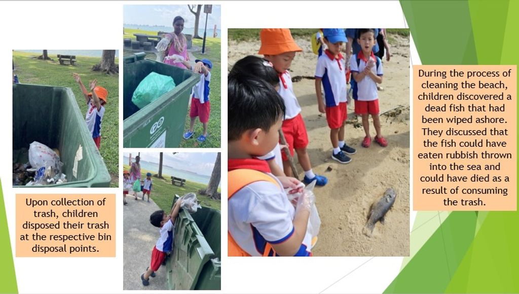 SSDB Finale- Keeping Our Environment Clean- Let's Do Our Part! — photo 3