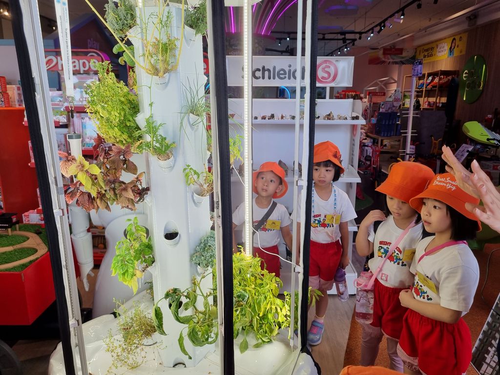 SSDB September : Visit to Playscape