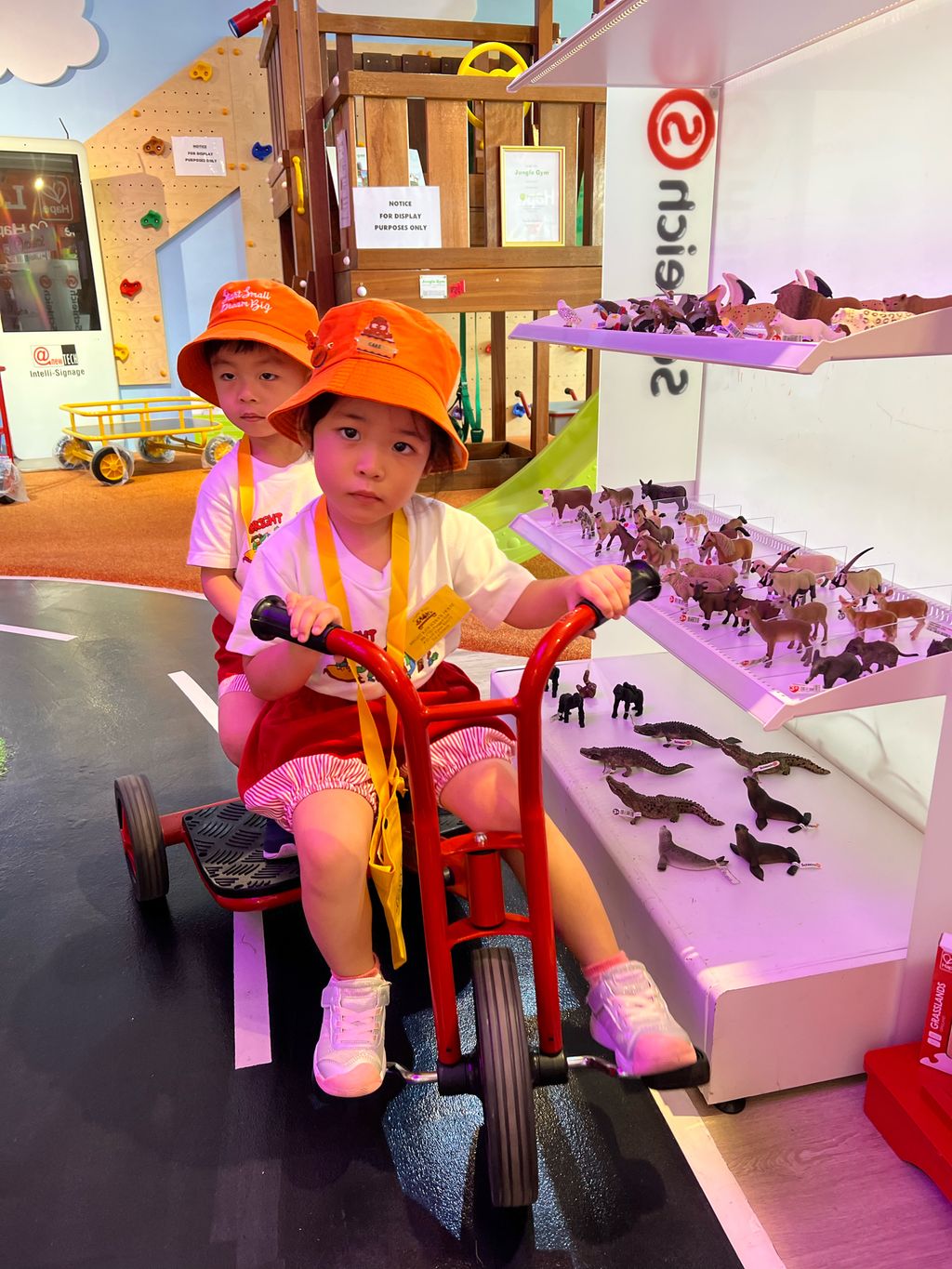 SSDB September : Visit to Playscape — photo 4