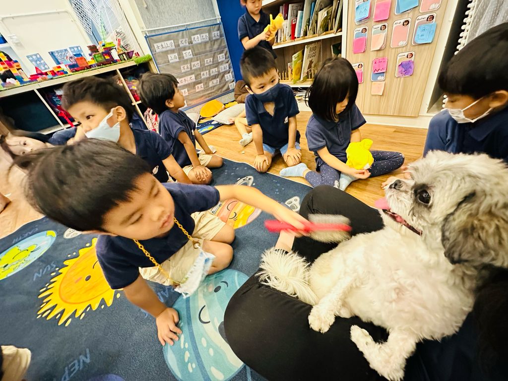 Bring Your Pet to School Day: Fostering Future Community Heroes — photo 1