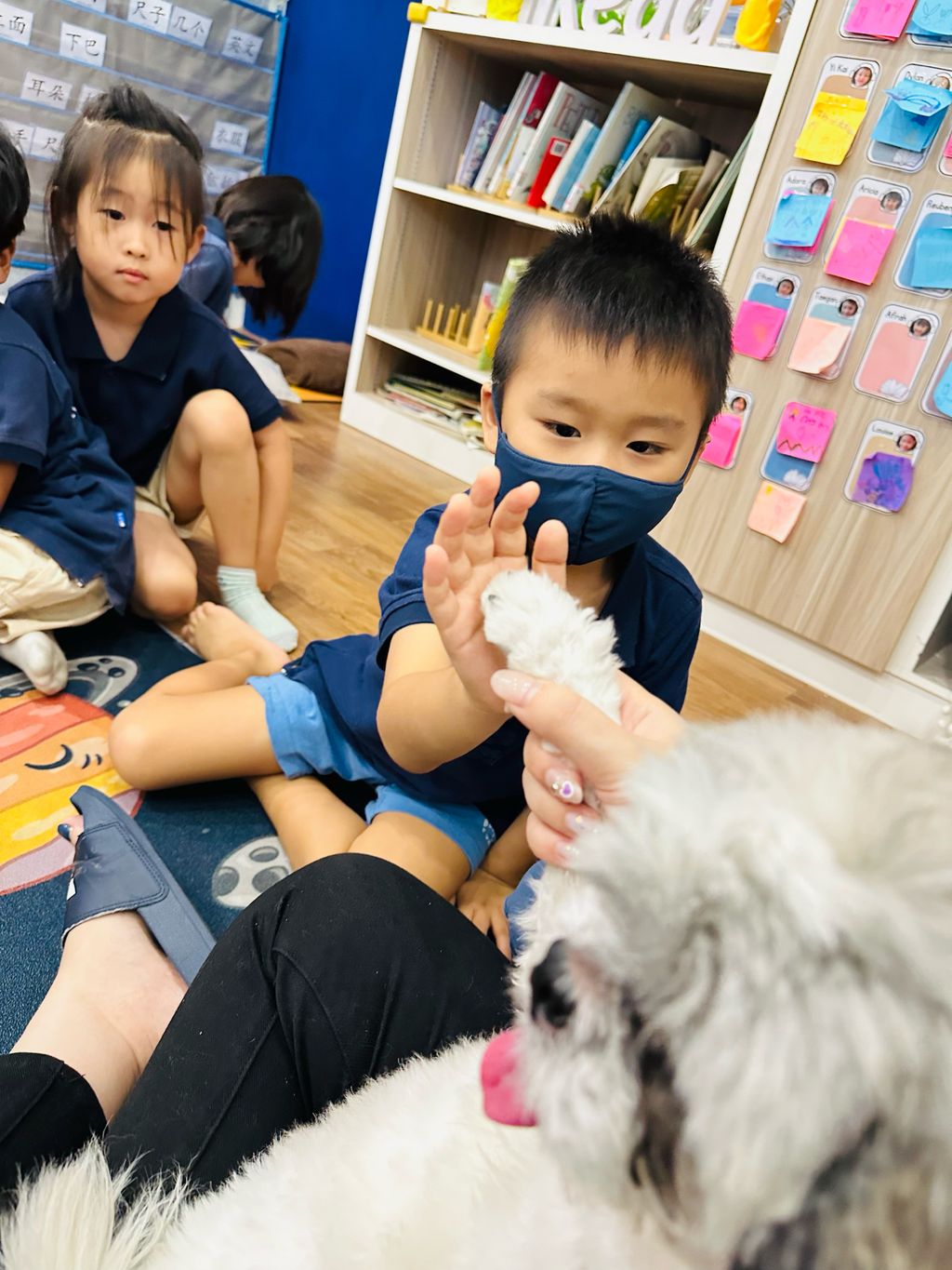 Bring Your Pet to School Day: Fostering Future Community Heroes — photo 10