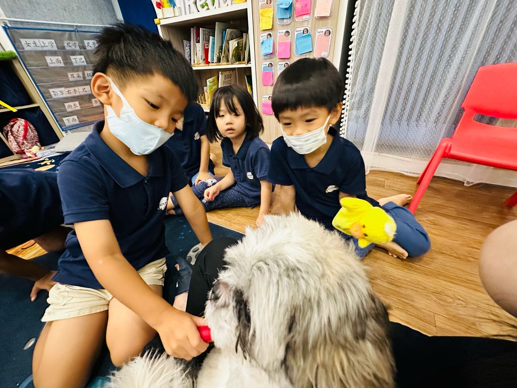 Bring Your Pet to School Day: Fostering Future Community Heroes — photo 11