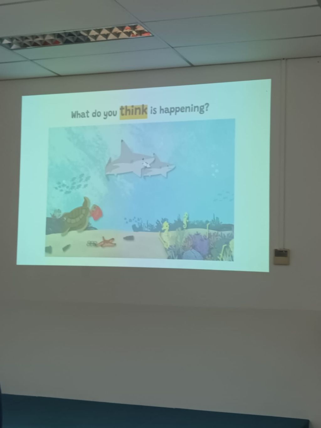 Eshkol Valley@PPCC 2023 SSDB Learning Story #6 - Excuse Me, You Are A Marine Biologist? — photo 3