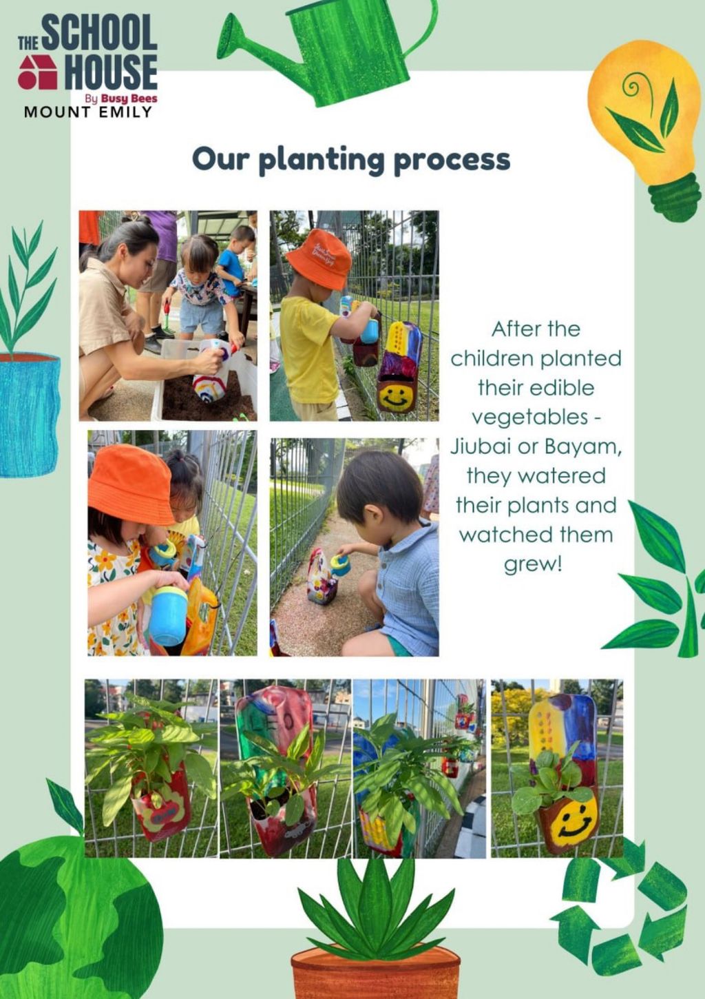 Our planting process