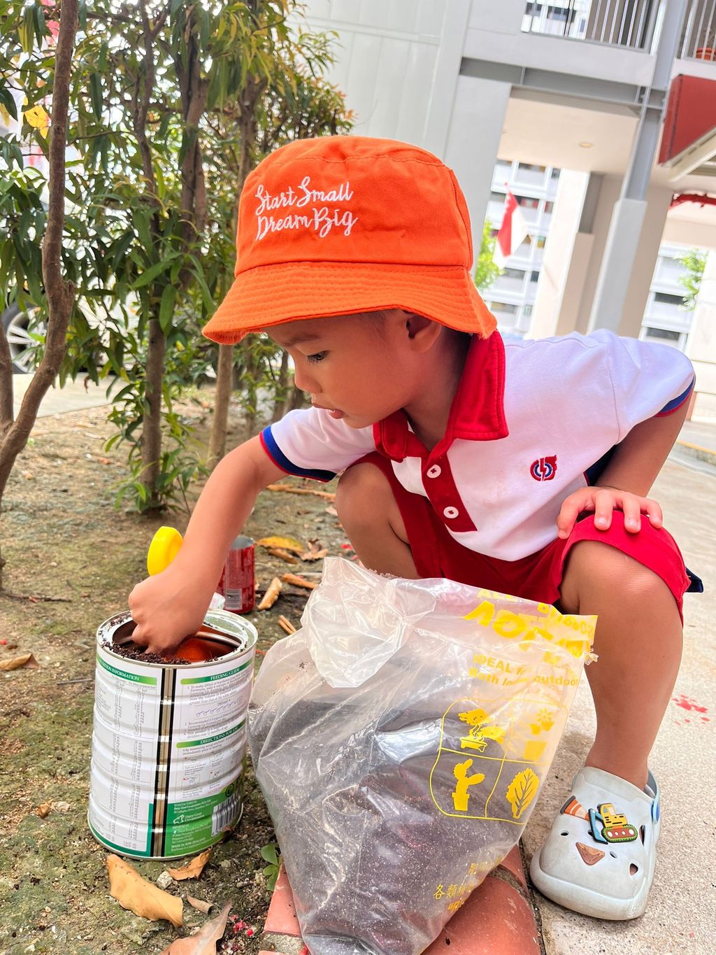 Recycling and Planting, Ways to Show Our Care for the Environment — photo 2
