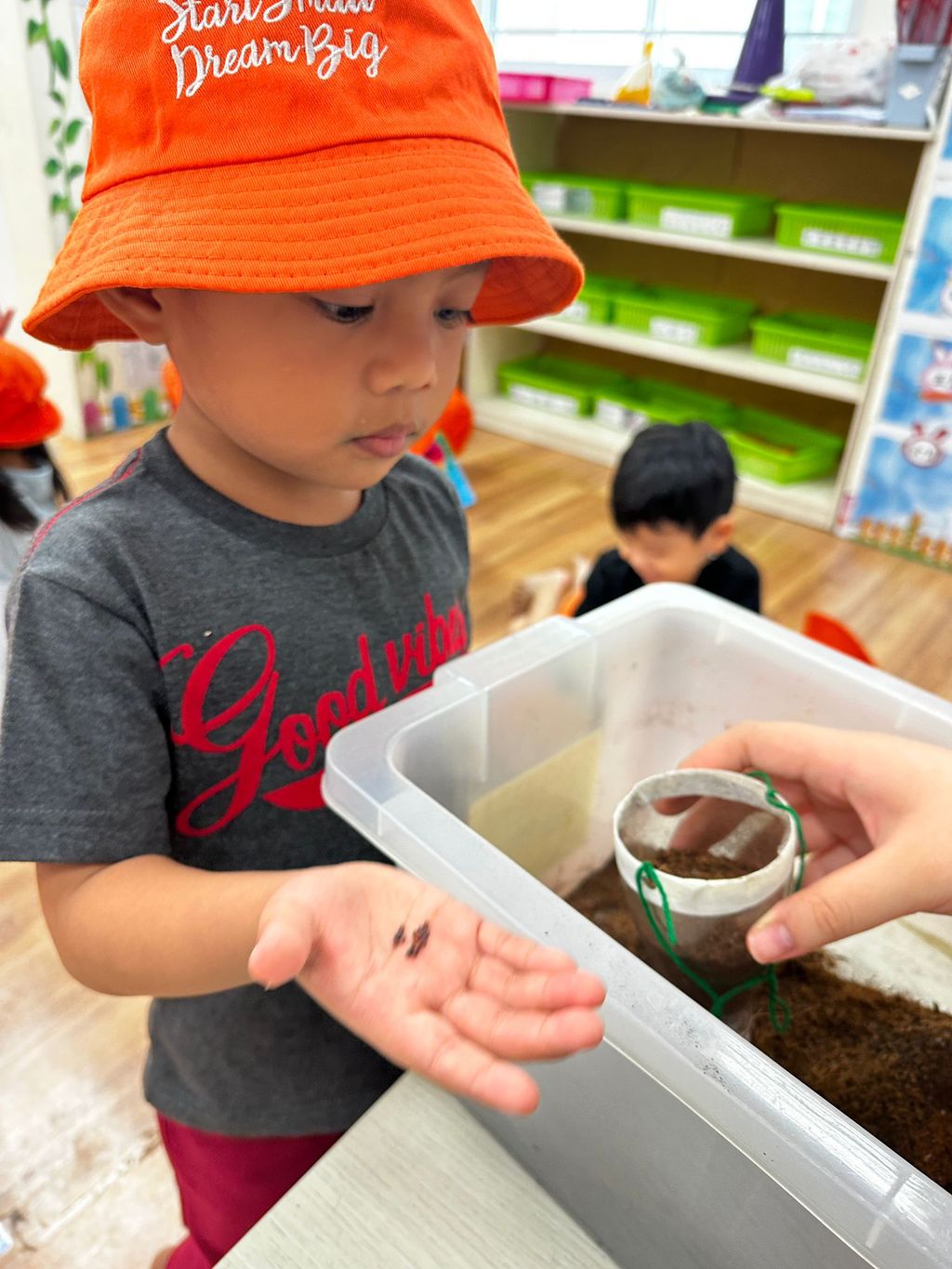 Recycling and Planting, Ways to Show Our Care for the Environment — photo 2