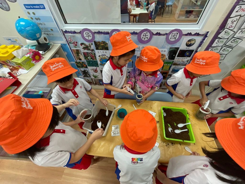 Recycling and Planting, Ways to Show Our Care for the Environment — photo 1
