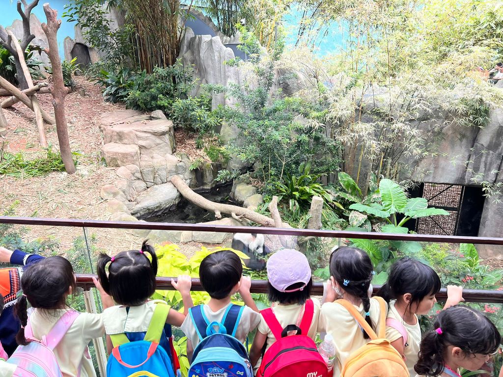 Animal Conservation Learning Journey — photo 2