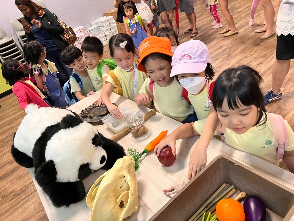 Animal Conservation Learning Journey — photo 5