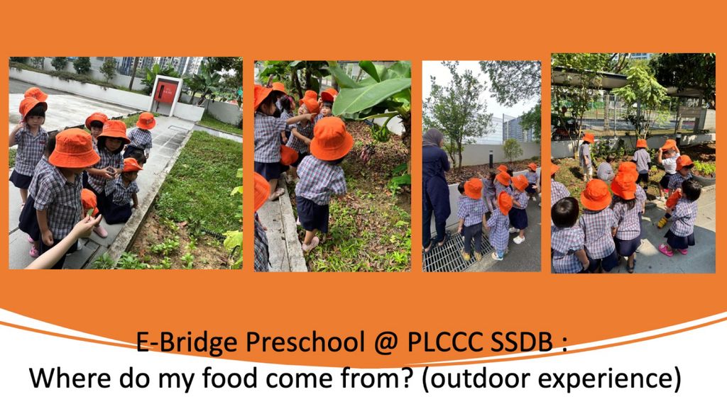 E-Bridge Preschool PLCCC : Reducing Food Wastage & Healthy Eating