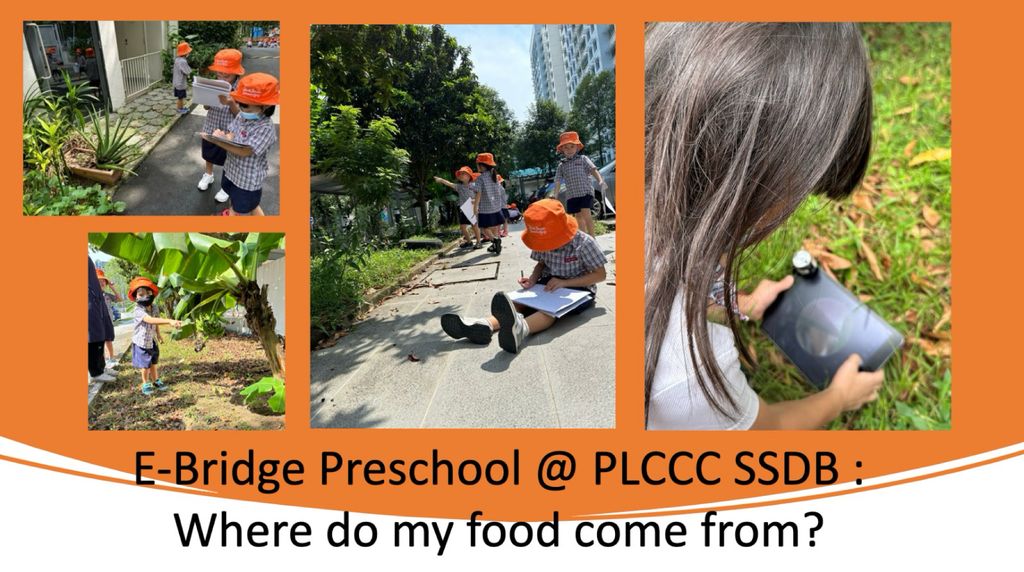 E-Bridge Preschool PLCCC : Reducing Food Wastage & Healthy Eating — photo 2