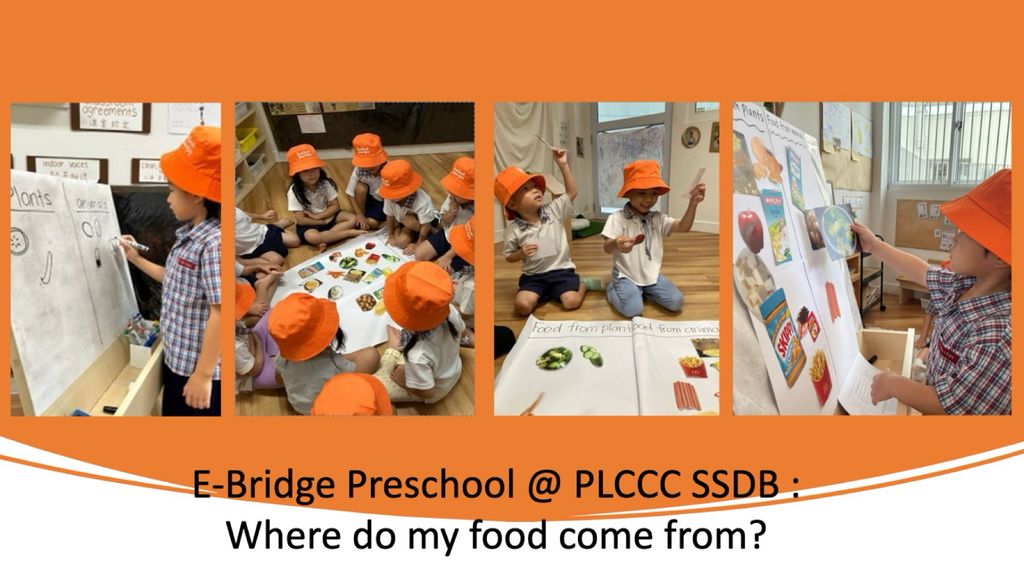 E-Bridge Preschool PLCCC : Reducing Food Wastage & Healthy Eating