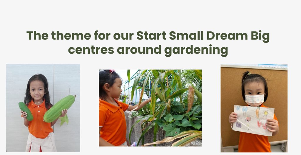 I: Sustainable Garden — photo 2