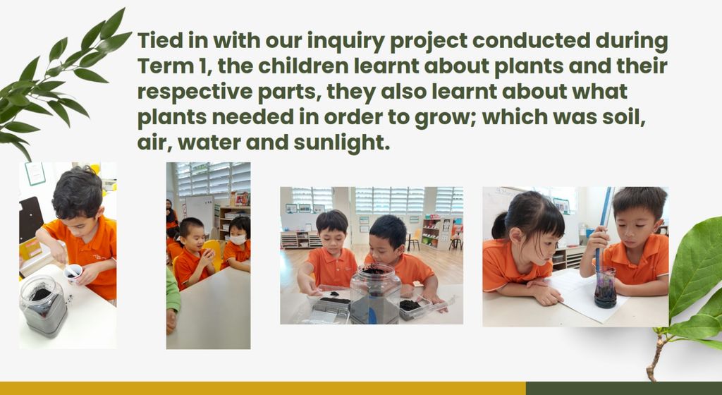 I: Sustainable Garden — photo 3
