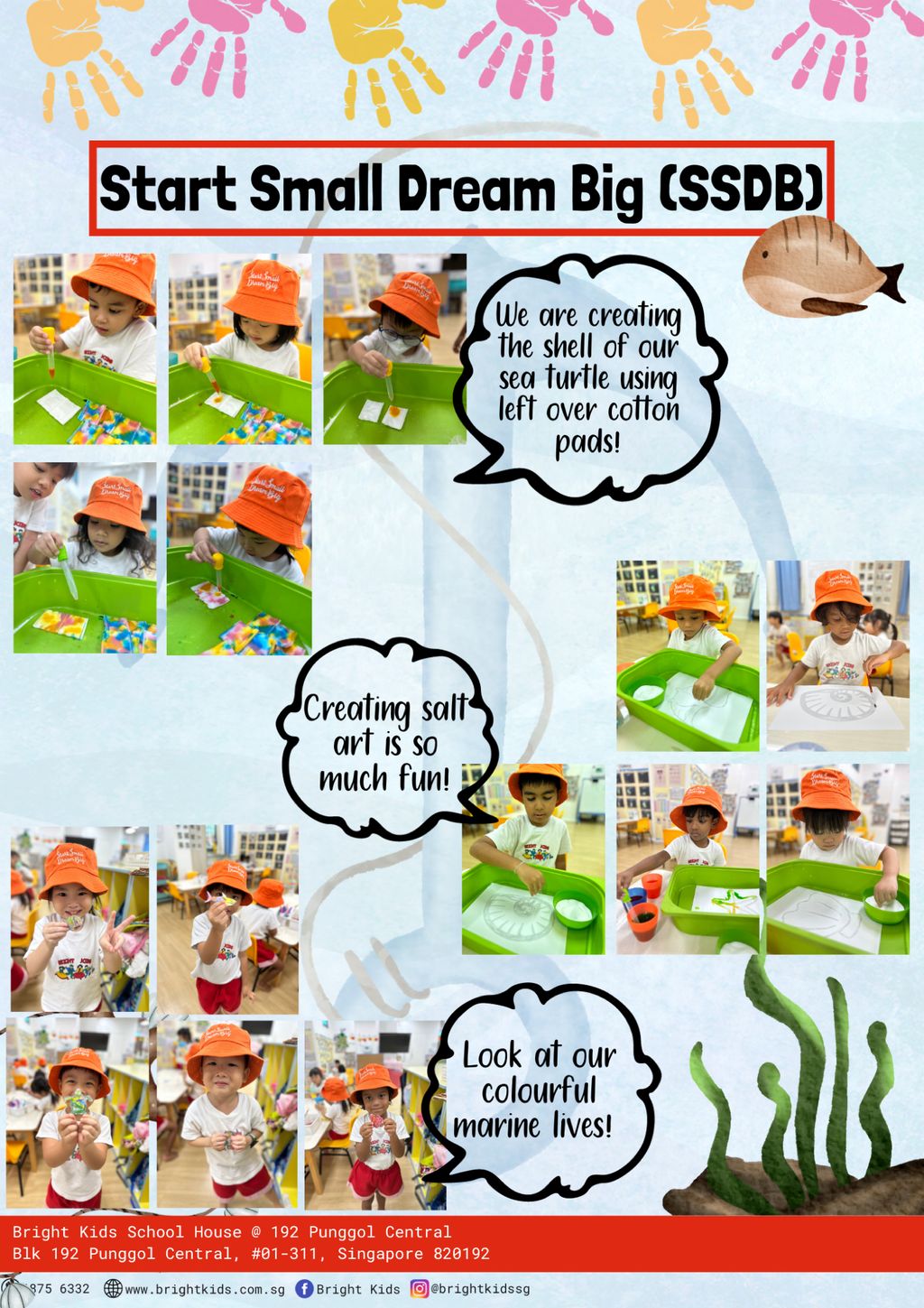 SSDB: SAVE THE REEF, GOODBYE TO GRIEF!
