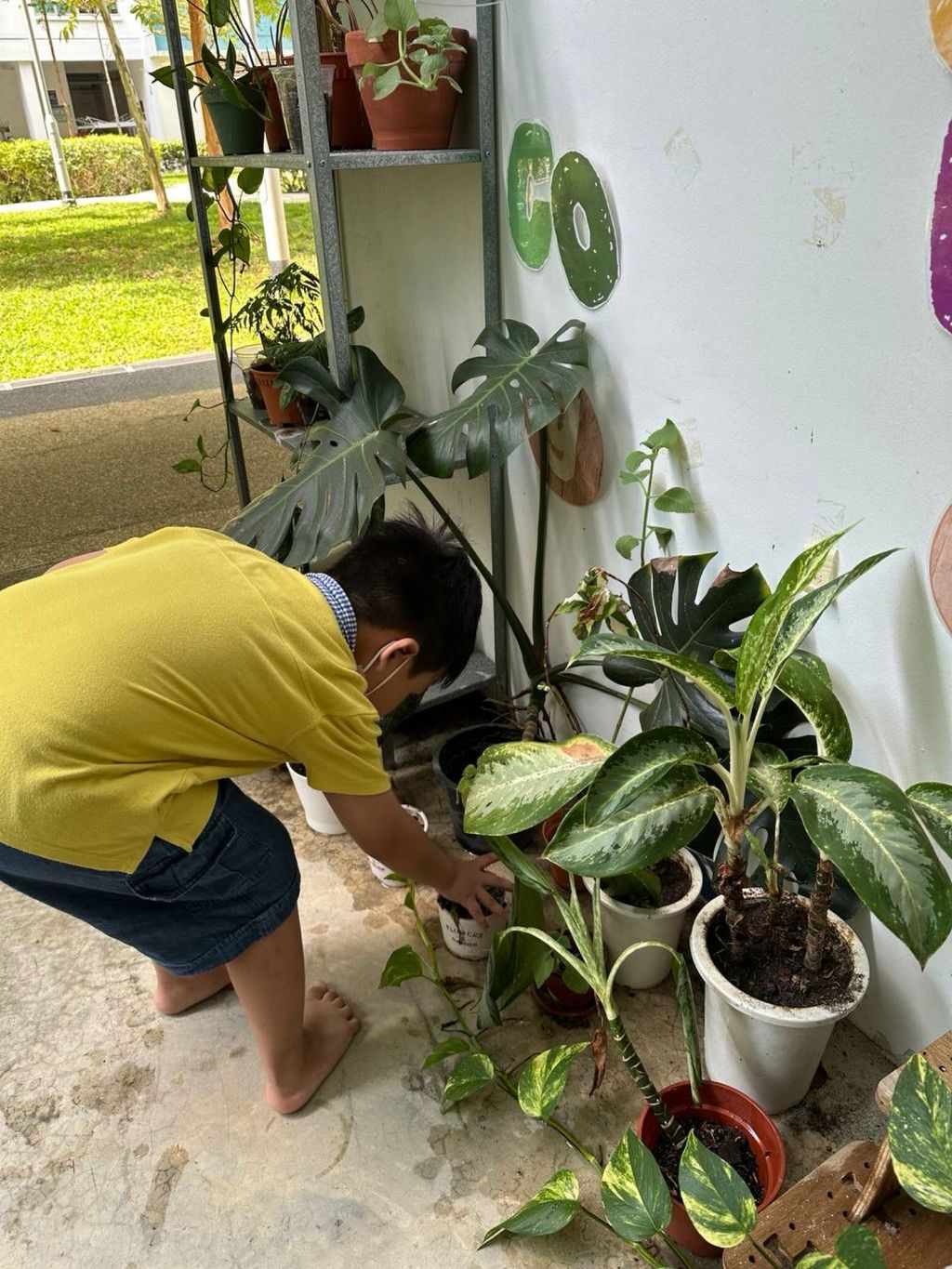 Skool4Kidz Preschool @ Sembawang Sunbreeze - SSDB 2023 - Caring for our Environment — photo 6